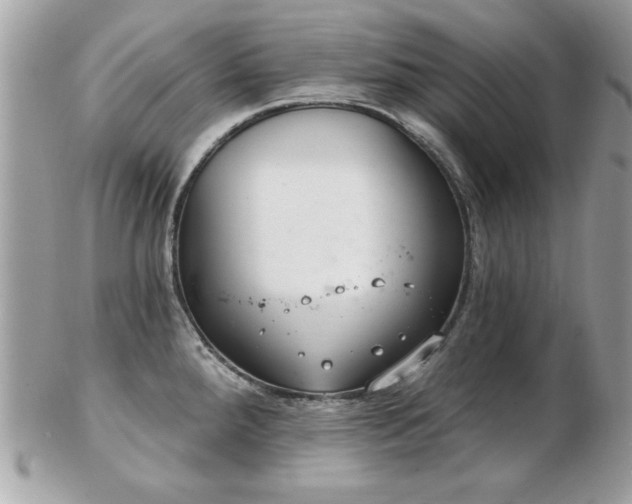 X0000103261288200808291209