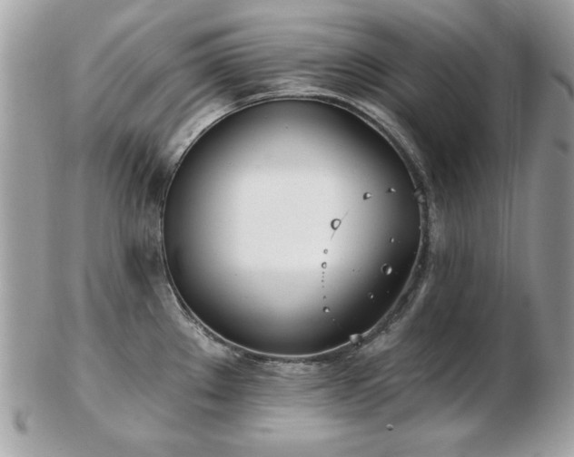 X0000103261289200808291209