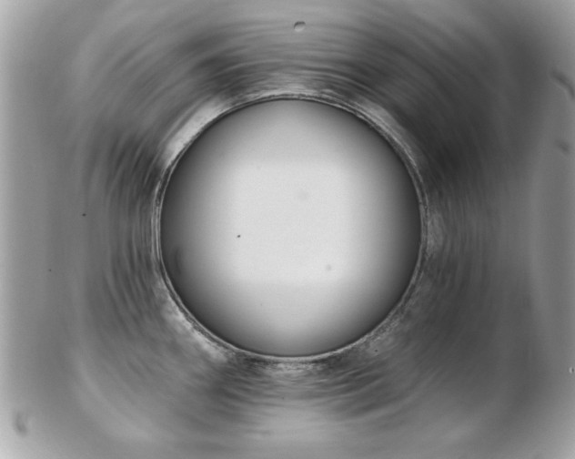 X0000103261290200808291209