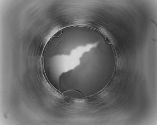 X0000103261291200808291209