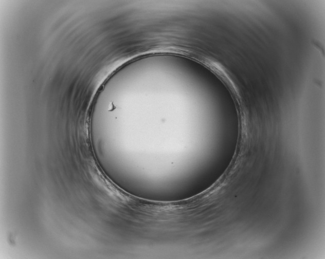 X0000103261292200808291209