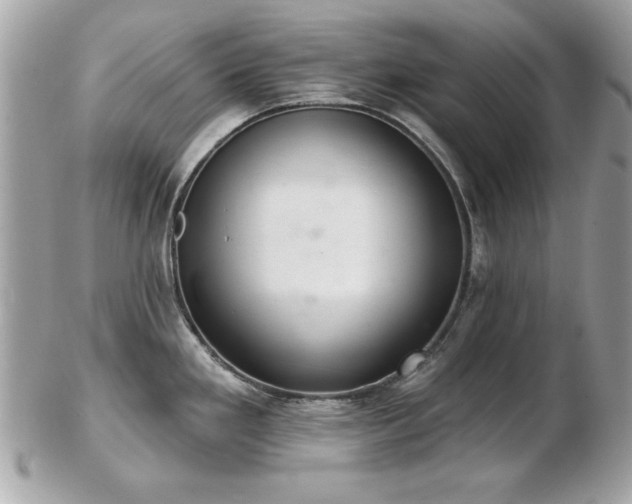 X0000103261293200808291209