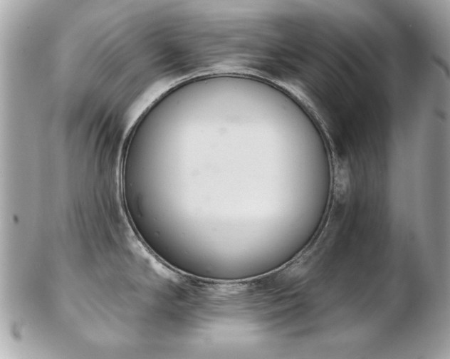 X0000103261294200808291209