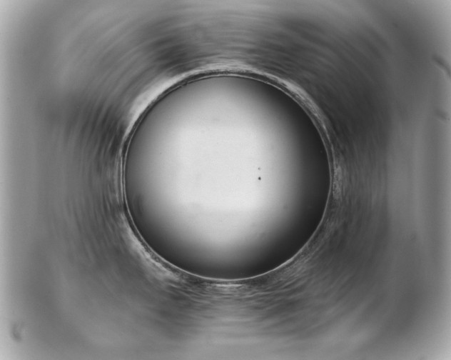 X0000103261295200808291209