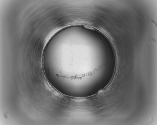 X0000103261296200808291209