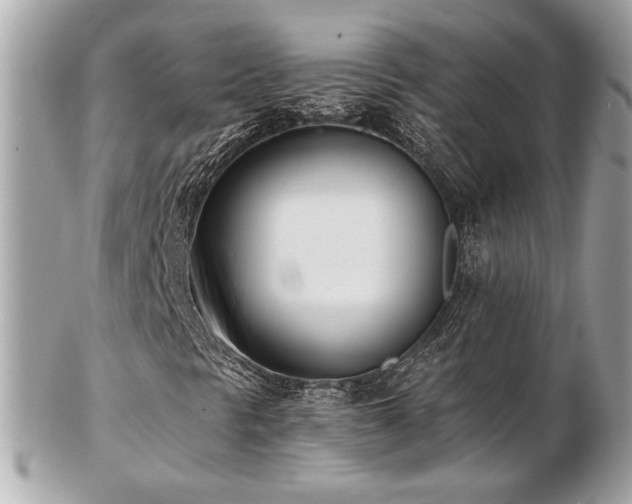 X0000103261297200808291208