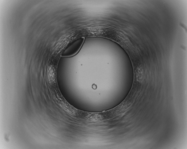 X0000103261298200808291208