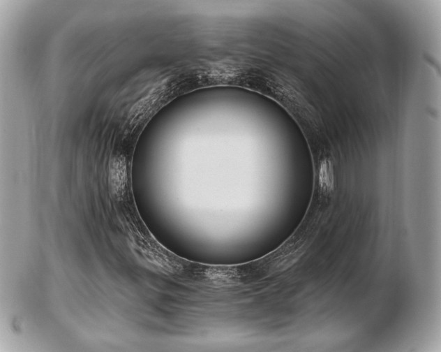 X0000103261299200808291208