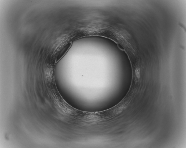 X0000103261300200808291208