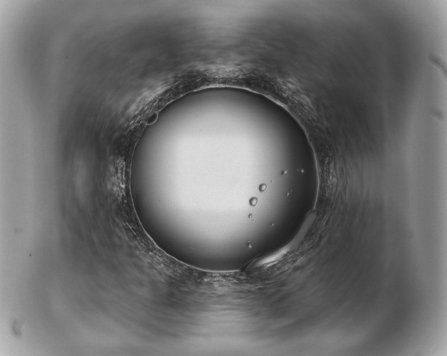 X0000103261301200808291208