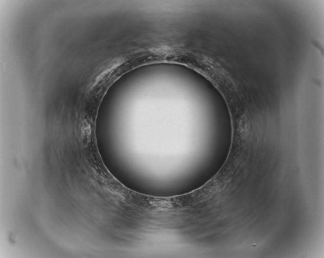 X0000103261302200808291208