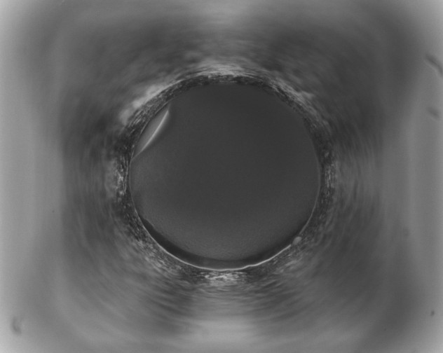 X0000103261303200808291208