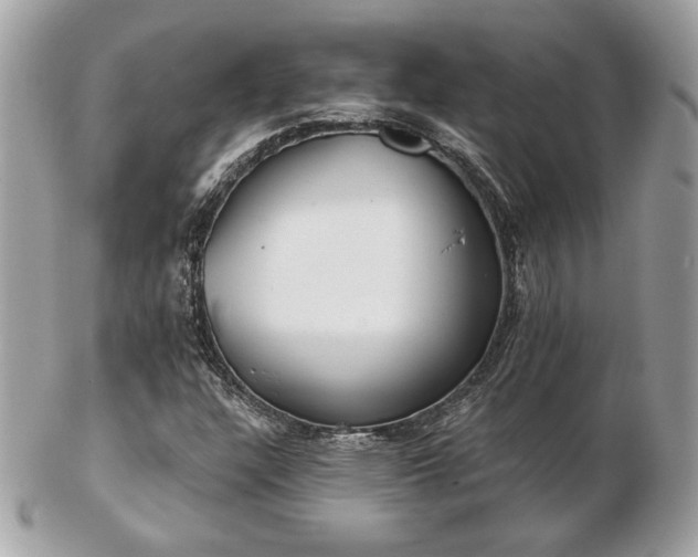 X0000103261304200808291208