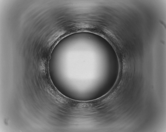 X0000103261305200808291209