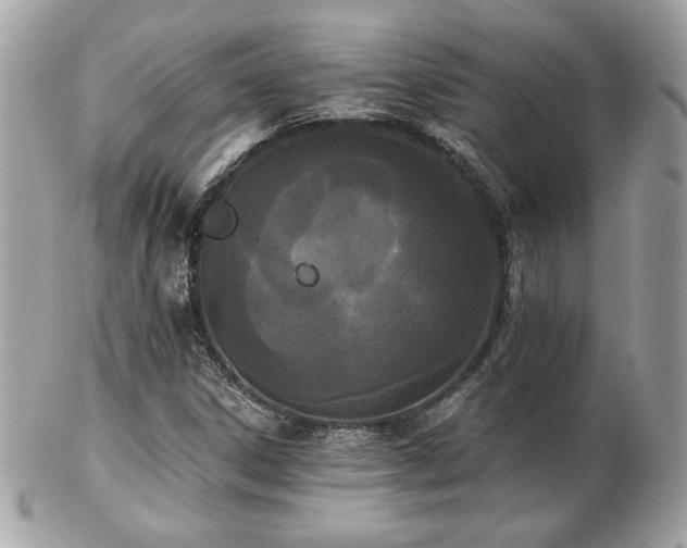 X0000103261306200808291209