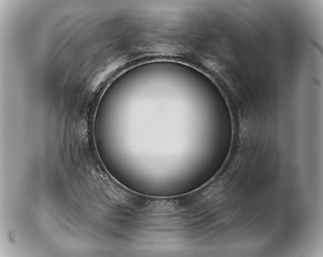 X0000103261307200808291209