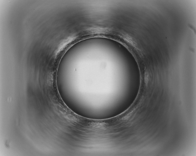 X0000103261309200808291209