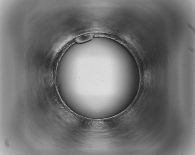 X0000103261310200808291209