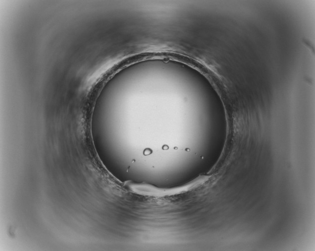 X0000103261311200808291209