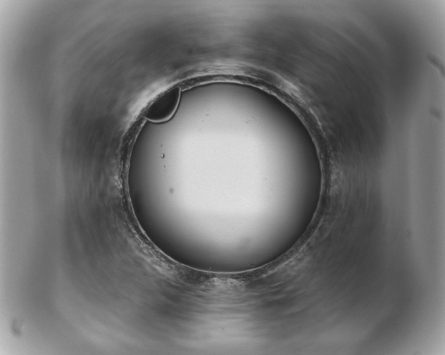 X0000103261312200808291209