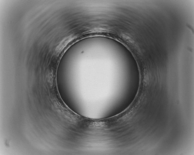 X0000103261313200808291209