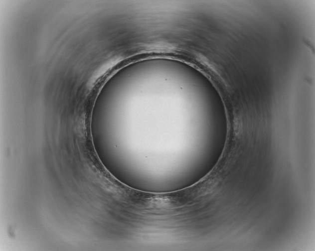 X0000103261315200808291209