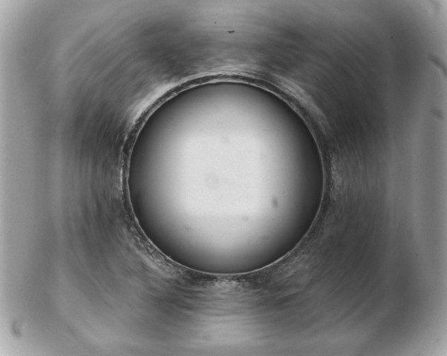 X0000103261316200808291209