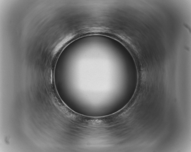 X0000103261317200808291209