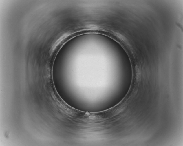 X0000103261318200808291209