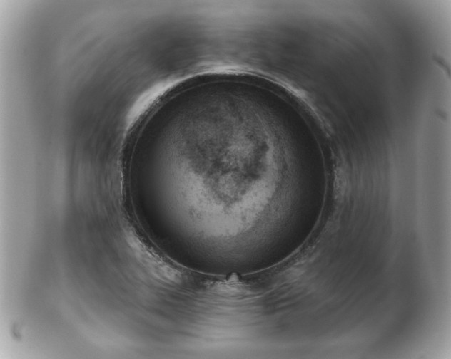 X0000103261319200808291209