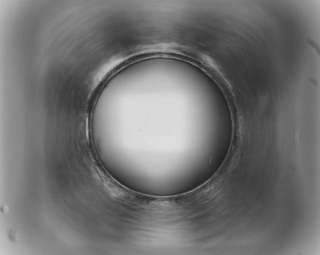 X0000103261320200808291209