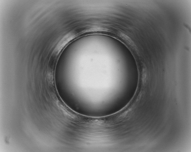 X0000103261321200808291209