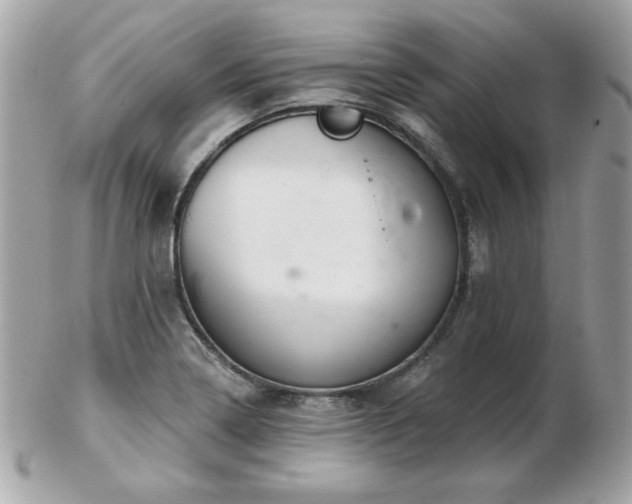 X0000103261322200808291209