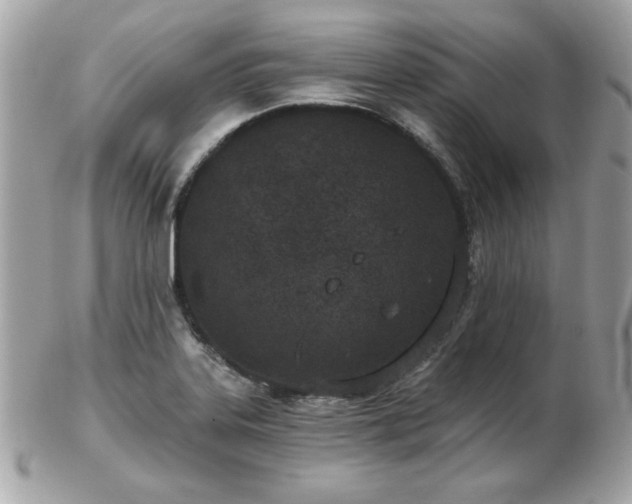 X0000103261323200808291209