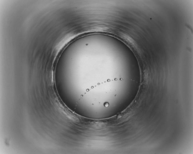 X0000103261324200808291209