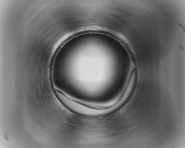 X0000103261326200808291209