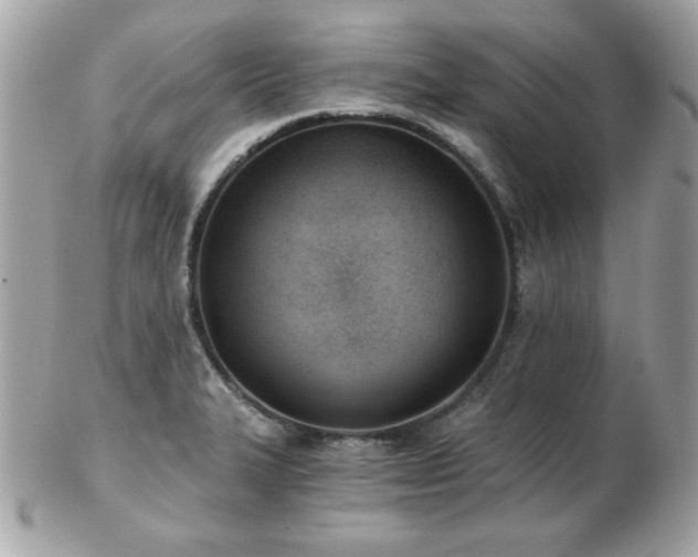 X0000103261327200808291209