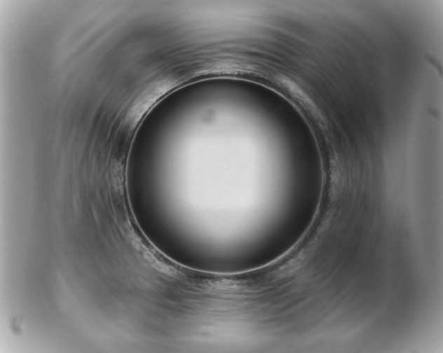 X0000103261329200808291209