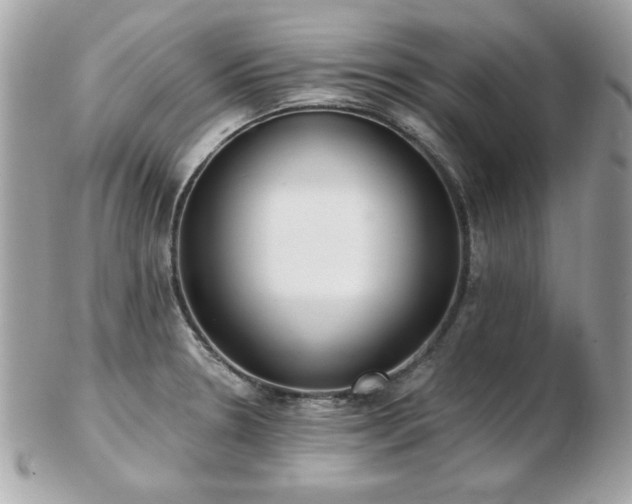 X0000103261330200808291209