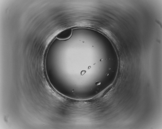 X0000103261331200808291209