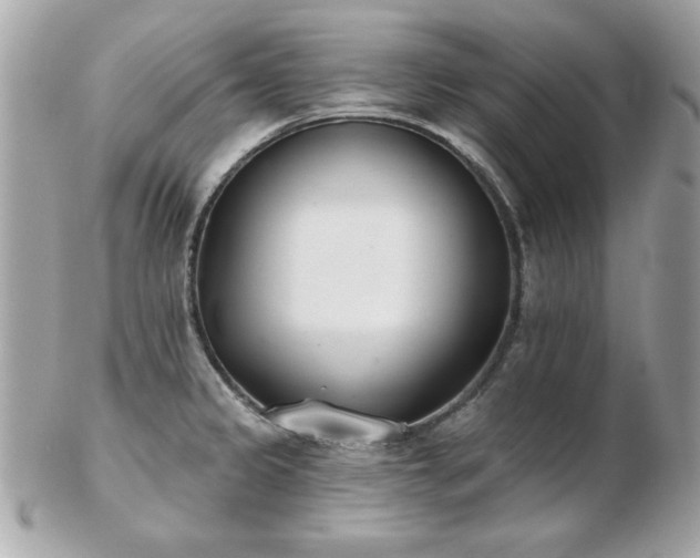 X0000103261333200808291209