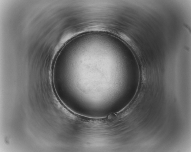 X0000103261334200808291209