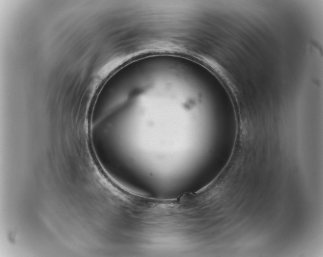 X0000103261335200808291209