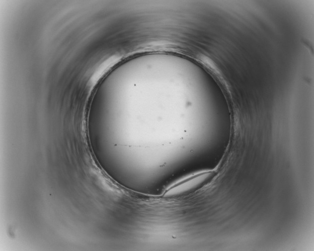 X0000103261336200808291209