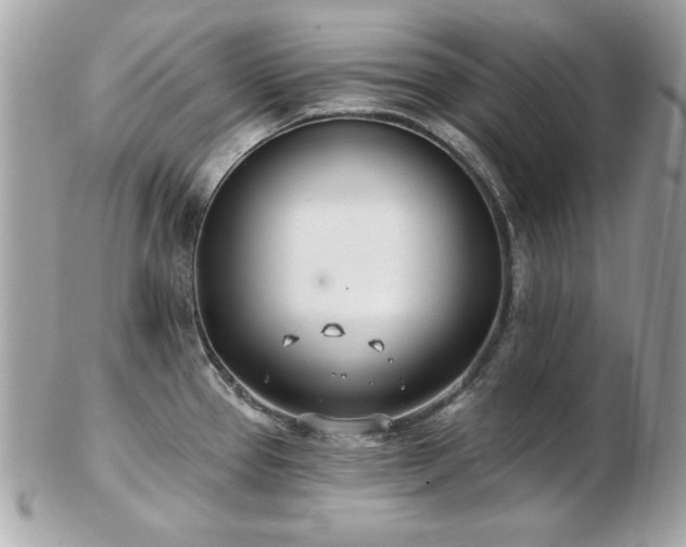 X0000103261337200808291209