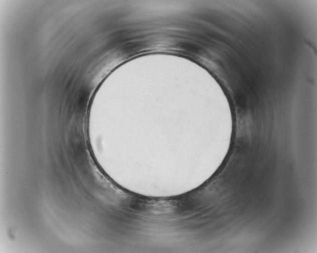 X0000103261338200808291209