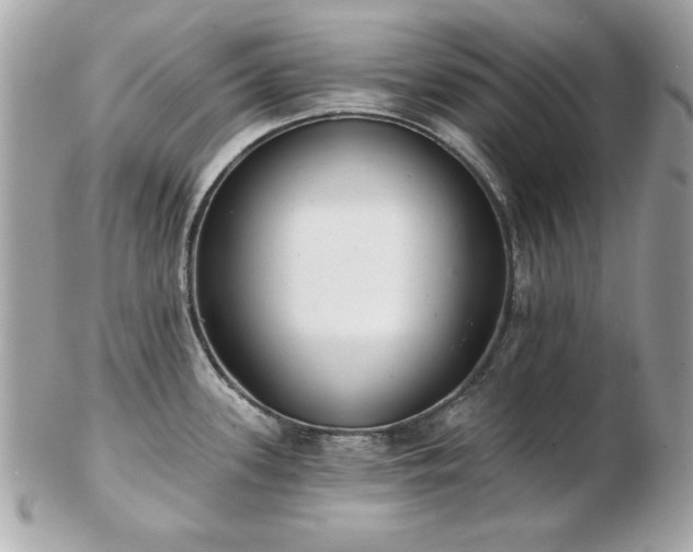 X0000103261339200808291209