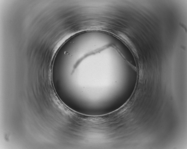 X0000103261340200808291209