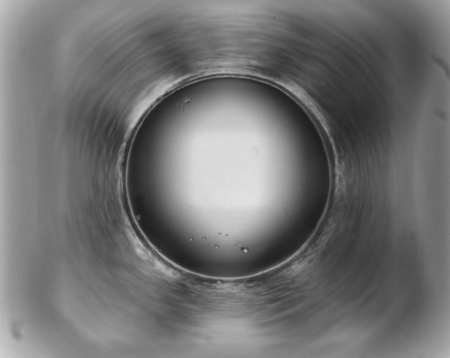 X0000103261341200808291209