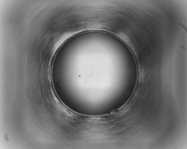 X0000103261342200808291209